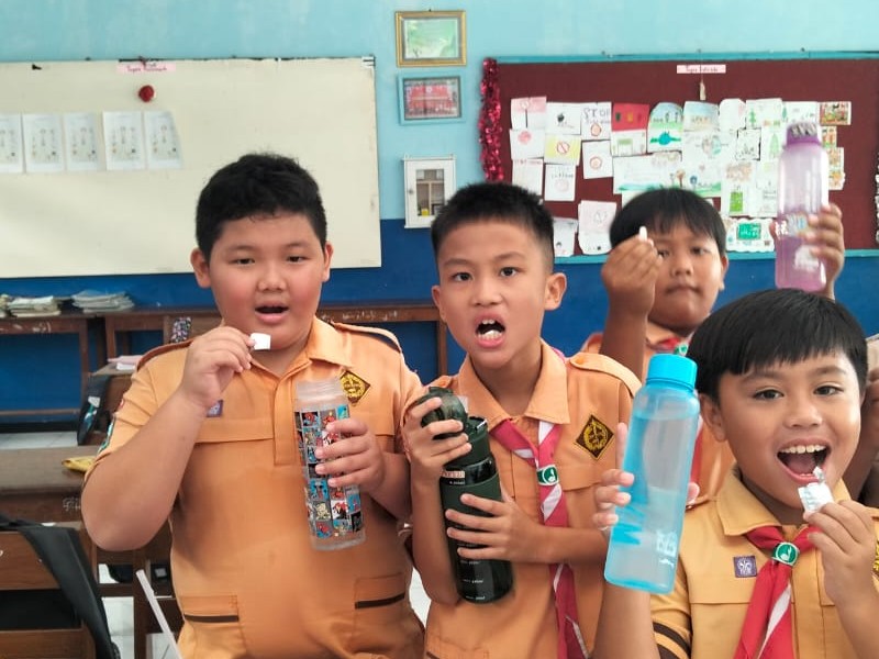 Pemberian Obat Cacing