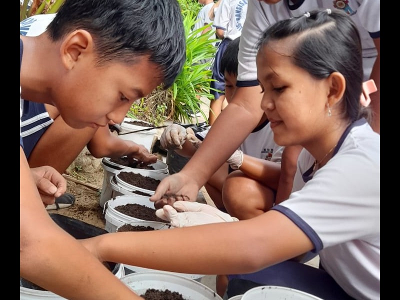 KEGIATAN MENANAM TANAMAN